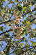 image0148