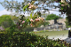image0149