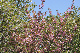 image0150