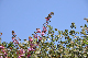 image0151