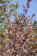 image0152