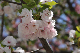 image0153