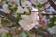 image0154