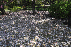 image0155