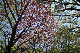 image0156