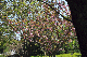 image0157