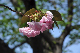image0159