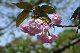 image0160