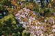 image0163