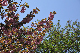 image0164