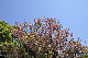 image0165