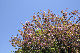 image0166