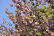 image0167