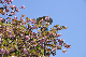 image0168