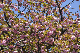 image0169