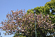 image0170