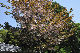 image0171