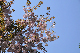 image0173