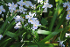 image0174