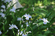 image0175