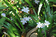 image0176