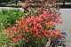 image0178