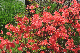 image0179