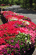 image0181