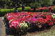image0183