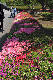 image0184