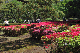 image0185