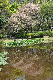 image0189