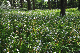 image0191