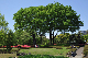 image0192