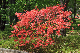 image0193