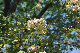 image0195