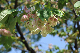 image0196