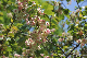 image0197