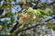 image0198