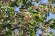 image0199