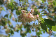 image0200