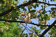 image0201
