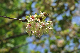 image0202