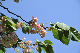 image0203