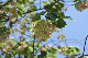 image0204