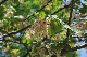image0205