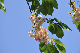 image0206