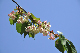 image0207