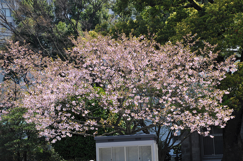 image0108
