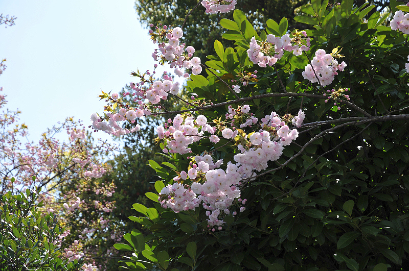 image0121